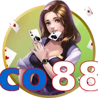 co88