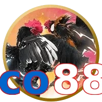 co88