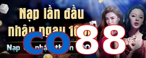 co88